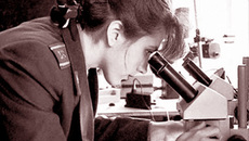 Эксперты на страже нашей безопасности.