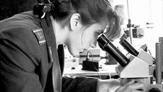 Эксперты на страже нашей безопасности.