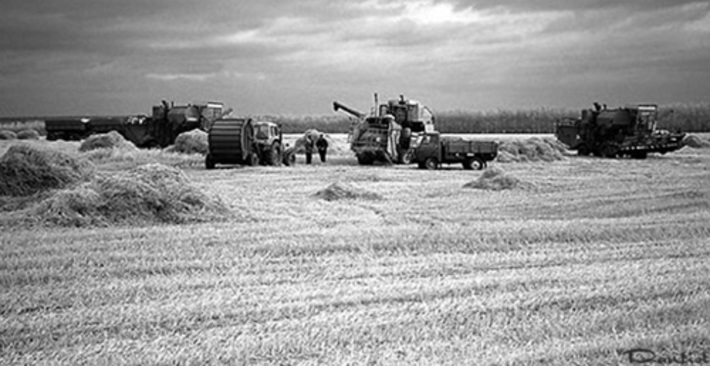 В поле.