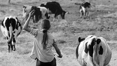 Домой с зарплатой! Фото Андрея ПЕТРОВА.