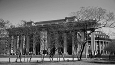 Сибирский колизей, апрель 2010 г.