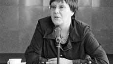 Ирина Петровская призвала привести в порядок «рычажки».