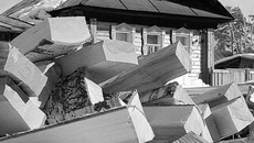 Определить, к какой категории — деловой или дровяной — относится древесина, непросто даже специалистам.