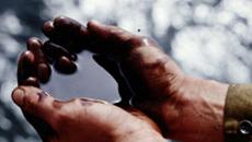 По предварительным оценкам, в Мексиканский залив сейчас ежедневно выплескивается 794 тысячи литров нефти.