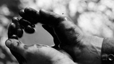 По предварительным оценкам, в Мексиканский залив сейчас ежедневно выплескивается 794 тысячи литров нефти.