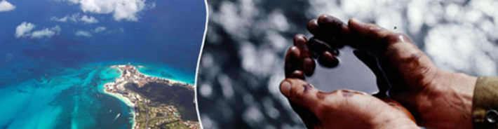 По предварительным оценкам, в Мексиканский залив сейчас ежедневно выплескивается 794 тысячи литров нефти.