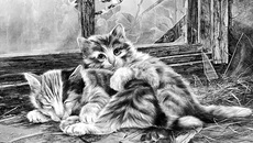 Бросили. Рисунок Олега СМИРНОВА.