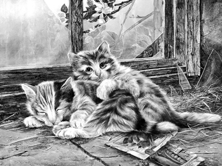 Бросили. Рисунок Олега СМИРНОВА.