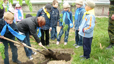 Здесь будет аллея Победы.