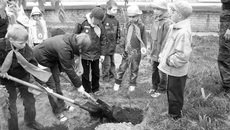 Здесь будет аллея Победы.