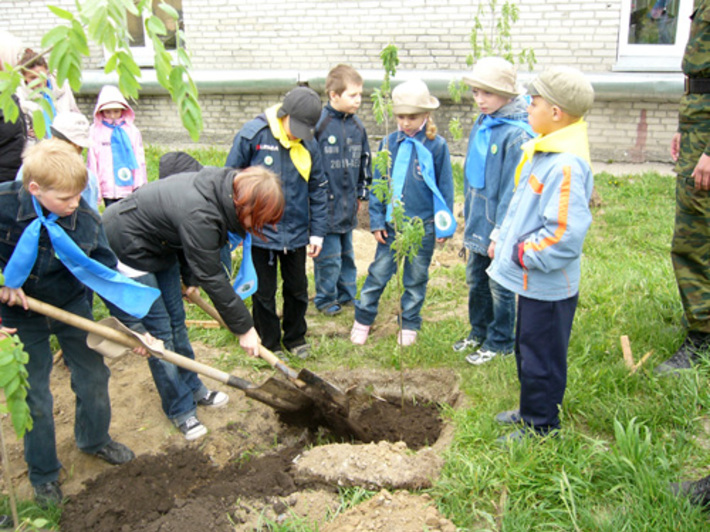 Здесь будет аллея Победы.