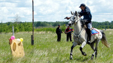 Стрельба из пистолета — военно-прикладной вид конного спорта.