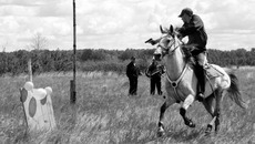 Стрельба из пистолета — военно-прикладной вид конного спорта.