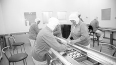 Условия труда на производственных линиях предприятия для новосибирцев созданы идеальные.