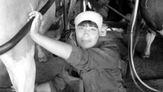 Екатерина Табакова бысто осваивает все технологические новинки в своем деле.