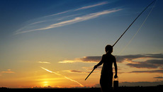 На зорьке. Фото Дмитрия АНТИПОВА.