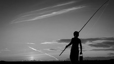 На зорьке. Фото Дмитрия АНТИПОВА.