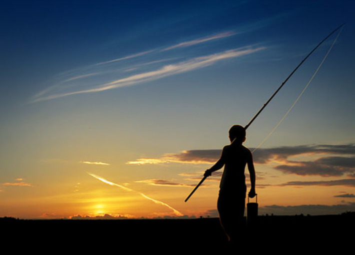 На зорьке. Фото Дмитрия АНТИПОВА.