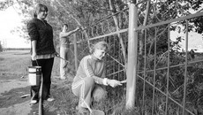 Ученицы старших классов Анна Васильева, Мария Гуль и Екатерина Васильева насыщают цветом ограду школы села Победа.