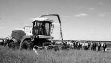 В работе кормоуборочный комбайн RSM 1401.