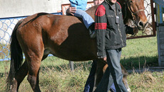 Выйду погулять хорошим днем с конюхом, инструктором и конем.