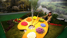 «Палитра» Советского района Новосибирска.