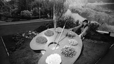 «Палитра» Советского района Новосибирска.