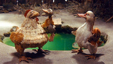 Кадры из анимационного фильма «Гадкий утенок».