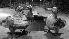 Кадры из анимационного фильма «Гадкий утенок».