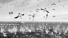 Кадры из нового документального блокбастера «Океаны».