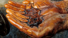 Нефтяная пленка в Мексиканском заливе.