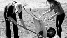 Каждая среда по распоряжению мэра Новосибирска Владимира Городецкого объявлена санитарным днём.