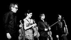 «Filarmonica»-квартет.