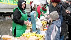 Фото Дарьи ДОРОТОВОЙ.
