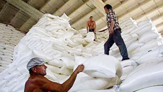 Возрос импорт сахара в Россию.