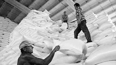 Возрос импорт сахара в Россию.