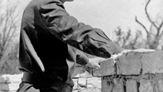 М. А. Лаврентьев: «Здесь будет город заложен...»