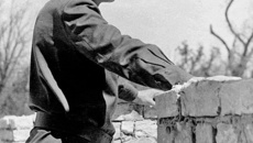 М. А. Лаврентьев: «Здесь будет город заложен...»