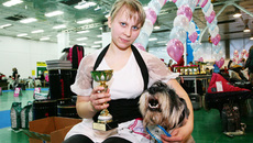 Вой победы, раздавайся! Александра Осипенко из Ачинска с Кубком победителя и ее любимец-миттельшнауцер по кличке Русс мажор Назарет — 1-е место в промежуточном классе.