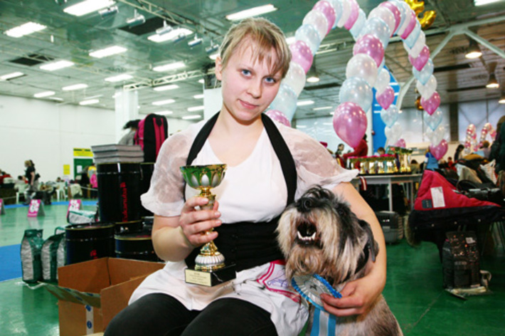 Вой победы, раздавайся! Александра Осипенко из Ачинска с Кубком победителя и ее любимец-миттельшнауцер по кличке Русс мажор Назарет — 1-е место в промежуточном классе.