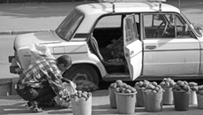 Картофель на продажу. Фото Бориса МОСКВИНА.