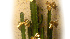 Традиция украшать под Новый год в офисе кактусы пришла к нам из Кубы.