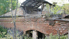 Толчельня сегодня.