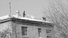 Прохожий, гляди в оба! Фото Михаила ПЕРМИНА.