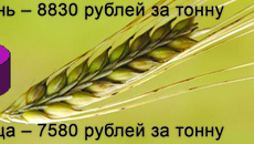 Инфографика Виктора БОЯРОВА.