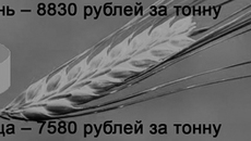 Инфографика Виктора БОЯРОВА.