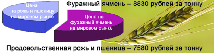 Инфографика Виктора БОЯРОВА.