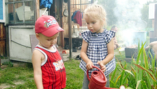 Неправильно ты, Никитушка,  цветы поливаешь. Фото прислала семья ШУЛЯК.