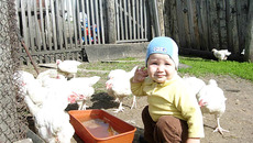 Кушайте, птички мои... Фото прислала семья ДЕГТЯРЕВЫХ.