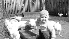 Кушайте, птички мои... Фото прислала семья ДЕГТЯРЕВЫХ.